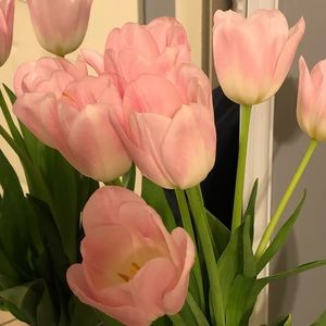 Meet your Posher, Azucena